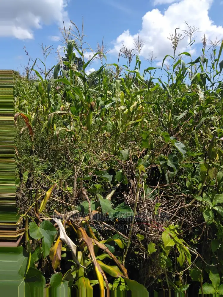 Plots Is Available for Sale in Gayaza Kiwenda