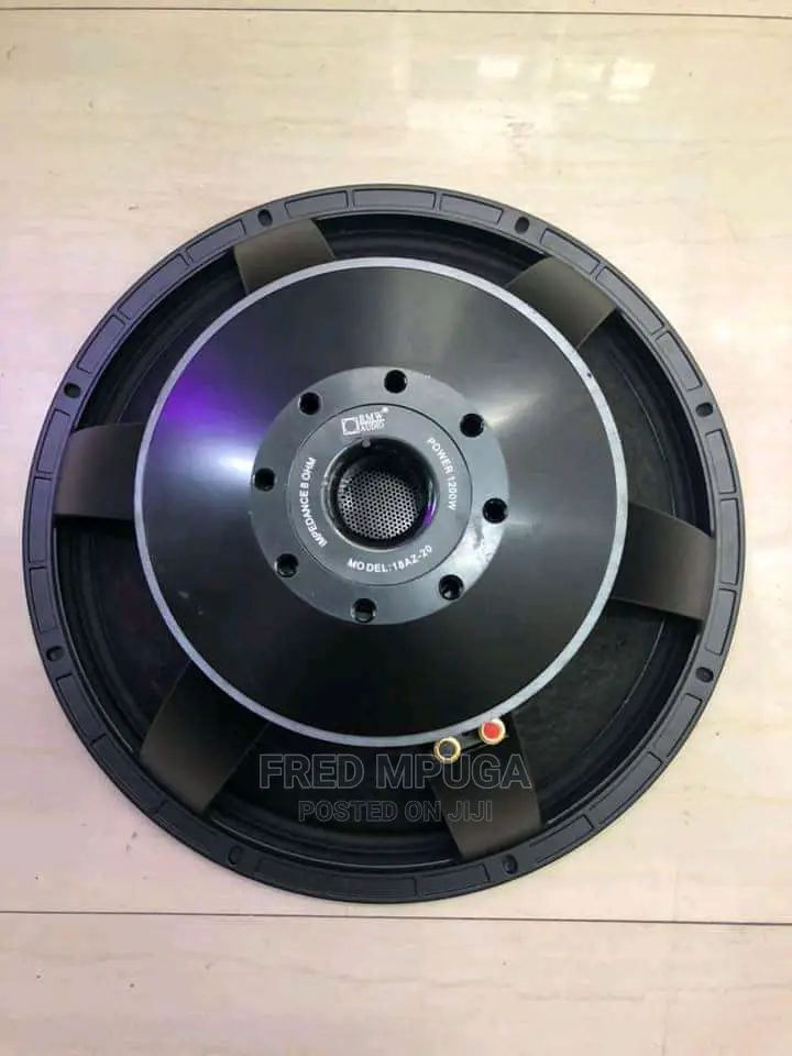 Rmw Woofer PD1850