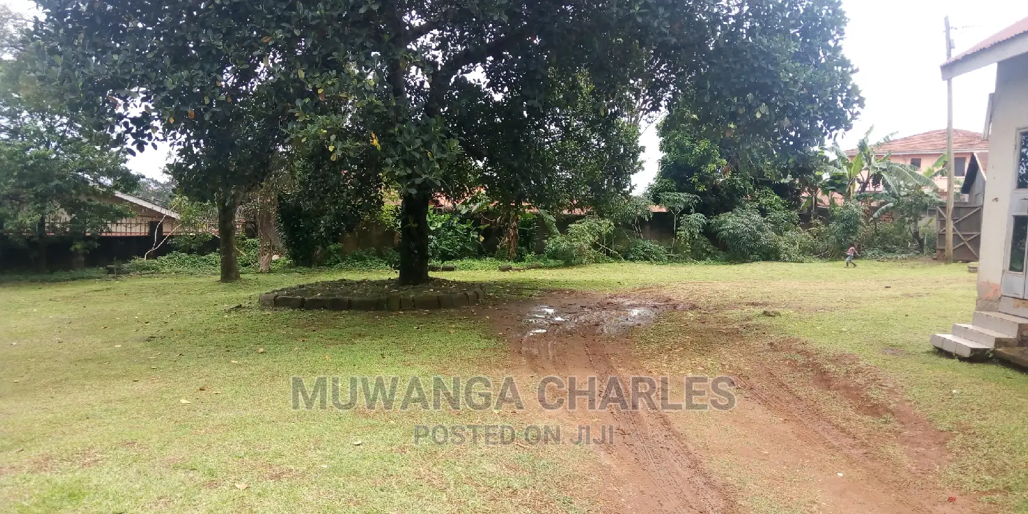 38decimals of Land Is Available for Sale in Bukoto