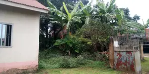 38decimals of Land Is Available for Sale in Bukoto