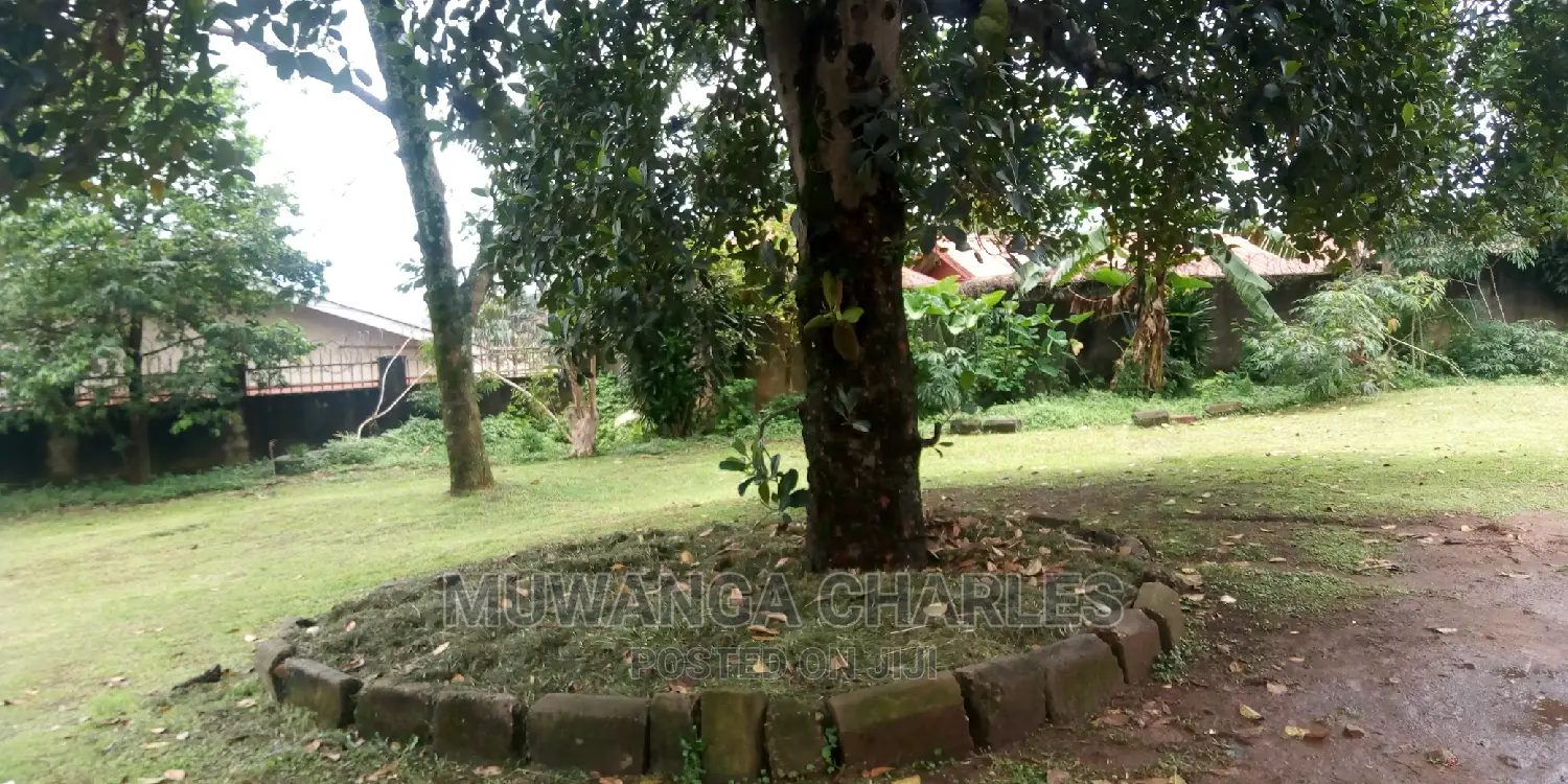38decimals of Land Is Available for Sale in Bukoto