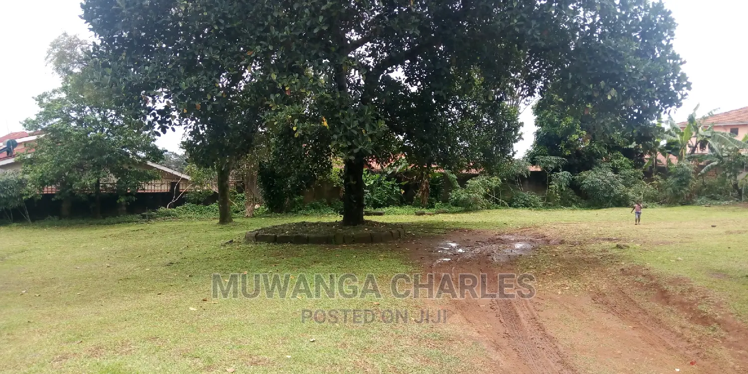 38decimals of Land Is Available for Sale in Bukoto