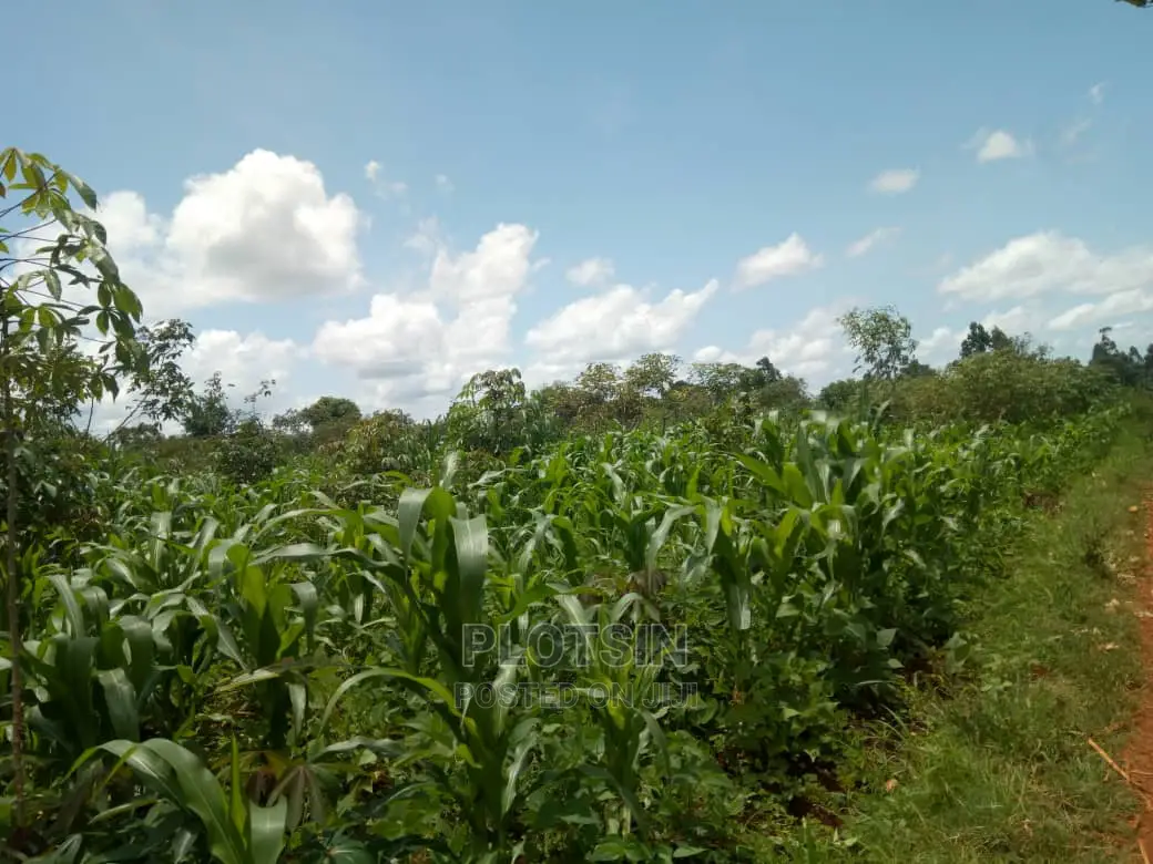1.78 Acres Of Land Along River Nile On Sale
