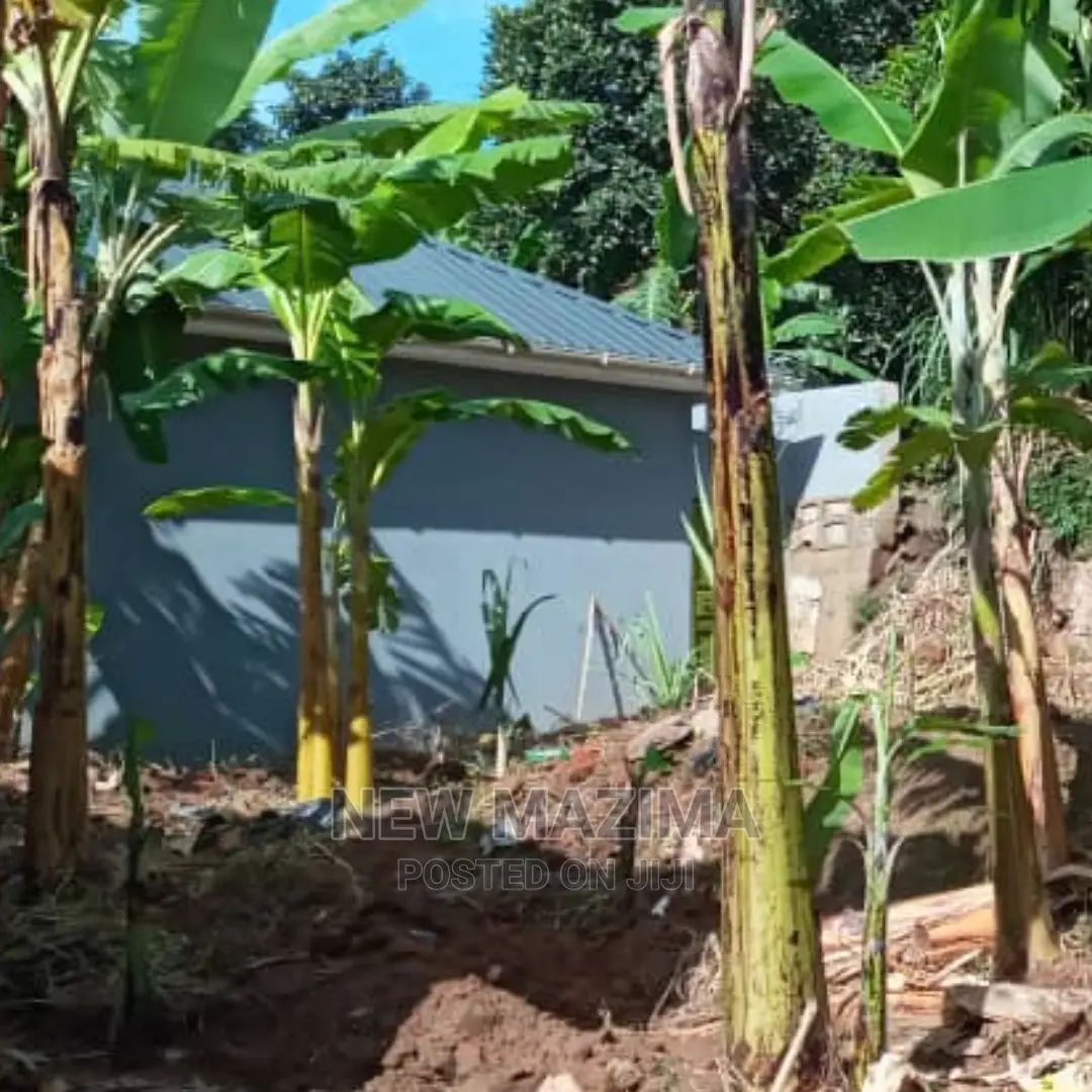 Prime Plot Quicksale Salaama Munyonyo Rd in Prime Neighbours
