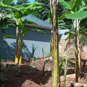Prime Plot Quicksale Salaama Munyonyo Rd in Prime Neighbours