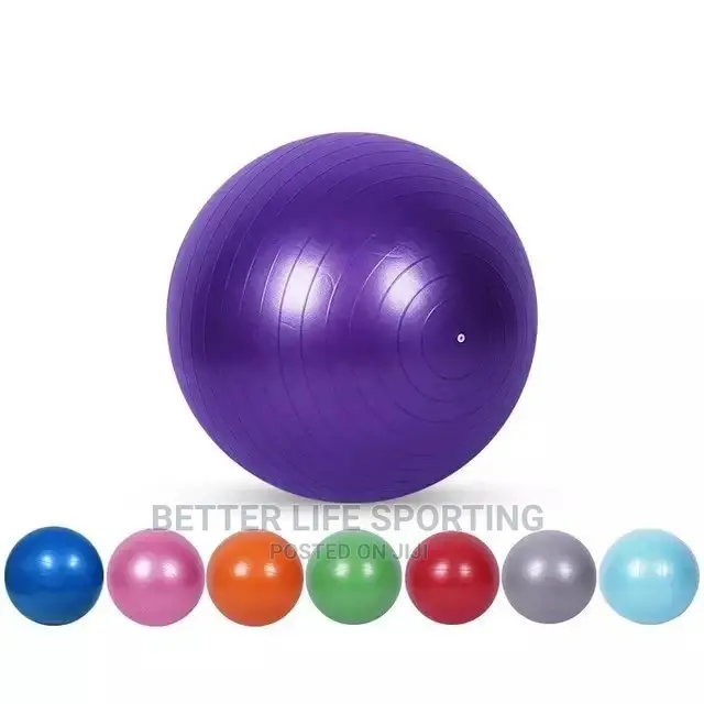 Yoga/Exercise Ball