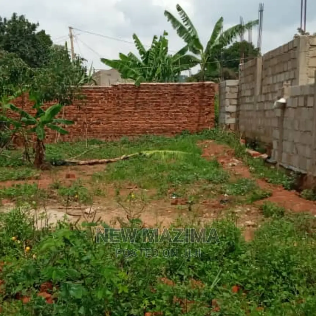 Another Sweet Plot Quicksale in Basabala Near One Love Beach
