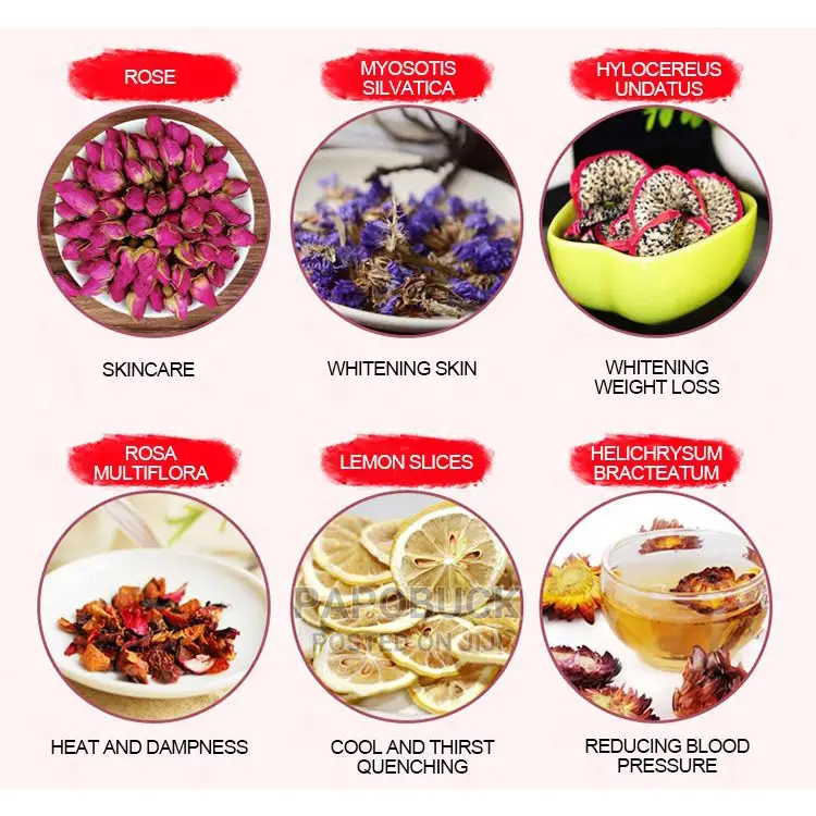 Top Healthy Food Dryer