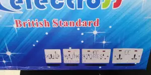 Standard Electrical Double Socket