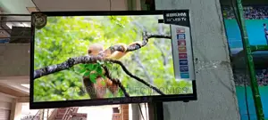 Tv Bruhm 32inches