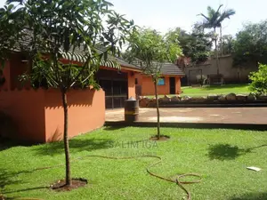 Spacious House In Kololo For Rent
