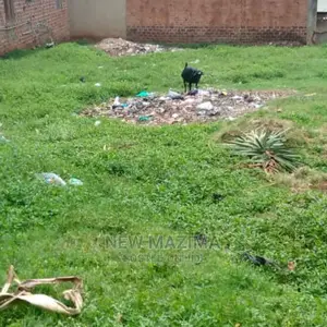 Very Sweet Plot on Quicksale in Heart of Najjanankumbi