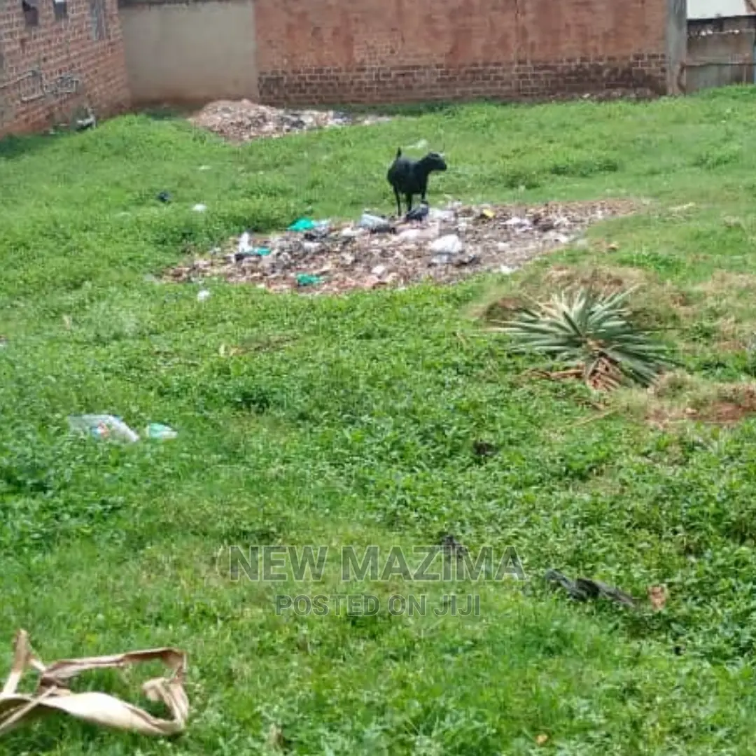 Very Sweet Plot on Quicksale in Heart of Najjanankumbi