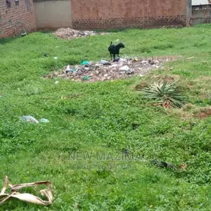 Very Sweet Plot on Quicksale in Heart of Najjanankumbi