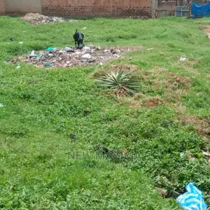 Very Sweet Plot on Quicksale in Heart of Najjanankumbi