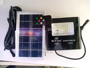 50W Solar Flood Light