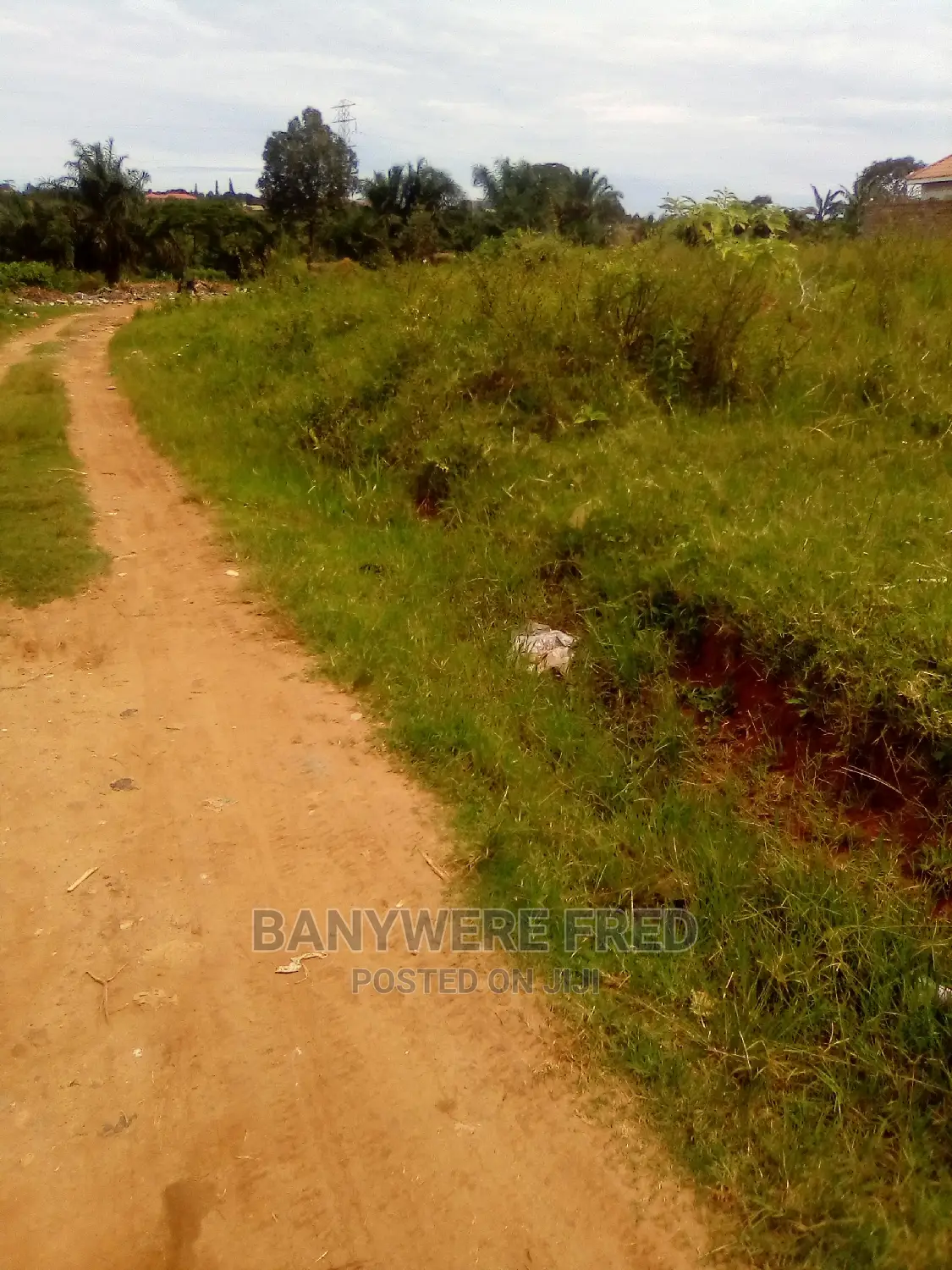 Plots for Sale in Mbalwa