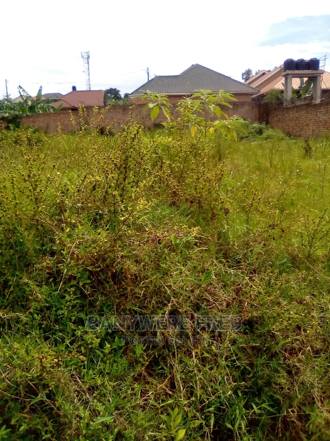 Plots for Sale in Mbalwa