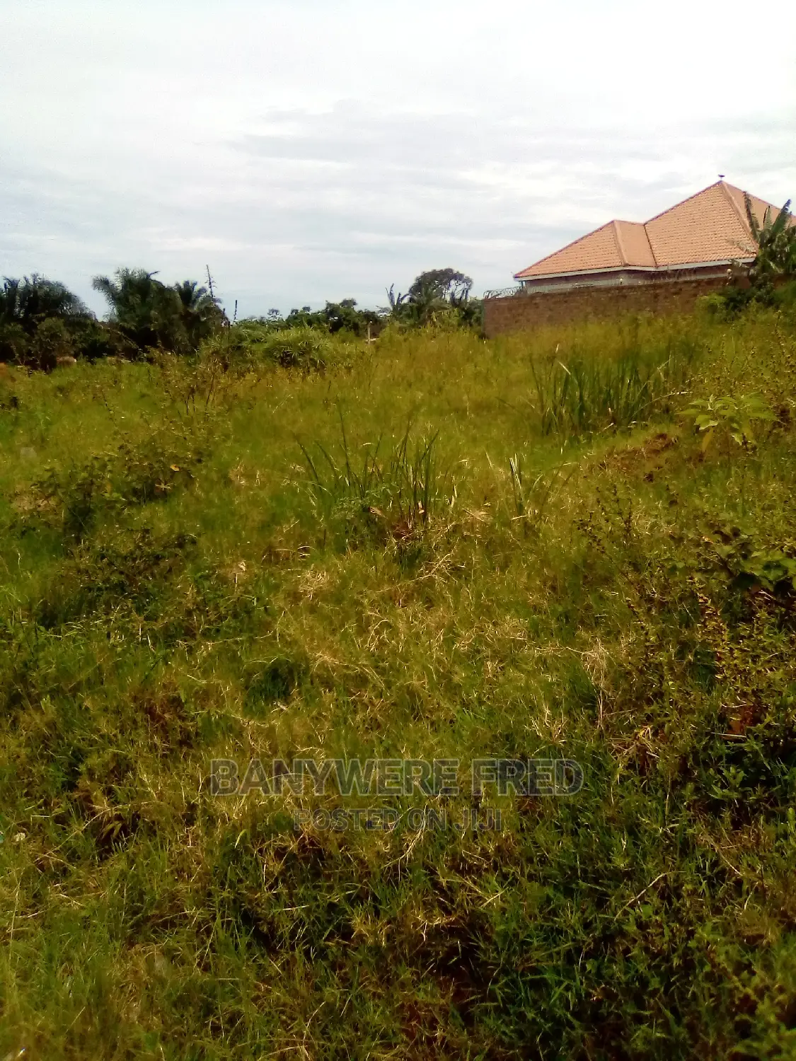 Plots for Sale in Mbalwa