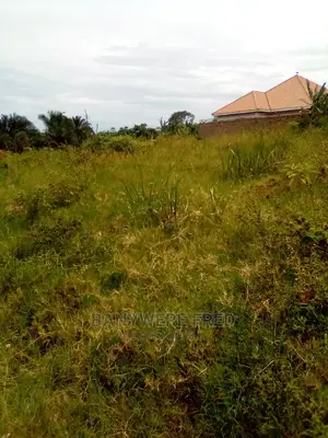 Plots for Sale in Mbalwa