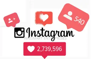 1,000 Youtube,Intsagram,Twitter Facebook Likes in 48 Hours