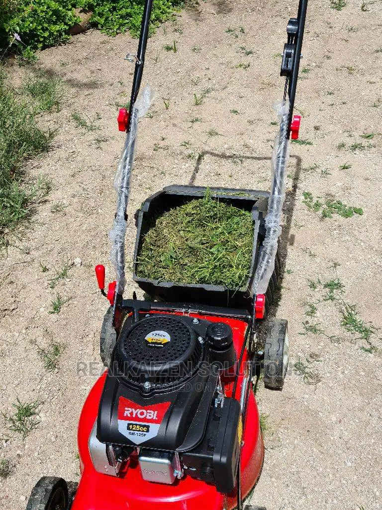 Ryobi 4 Stroke 410mm 125cc Petrol Powered Lawnmower