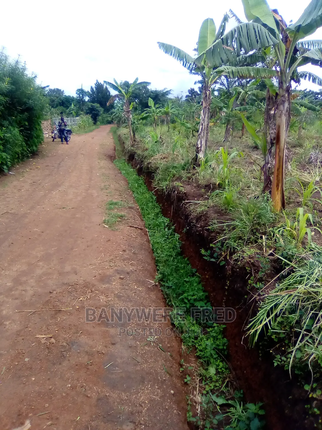 Land and Plots for Sale in Matunga 50/200