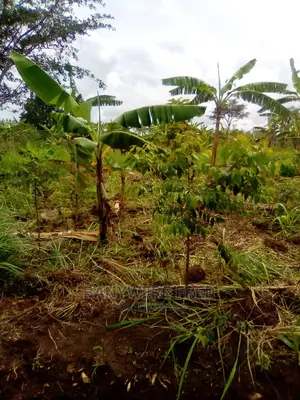 Land and Plots for Sale in Matunga 50/200