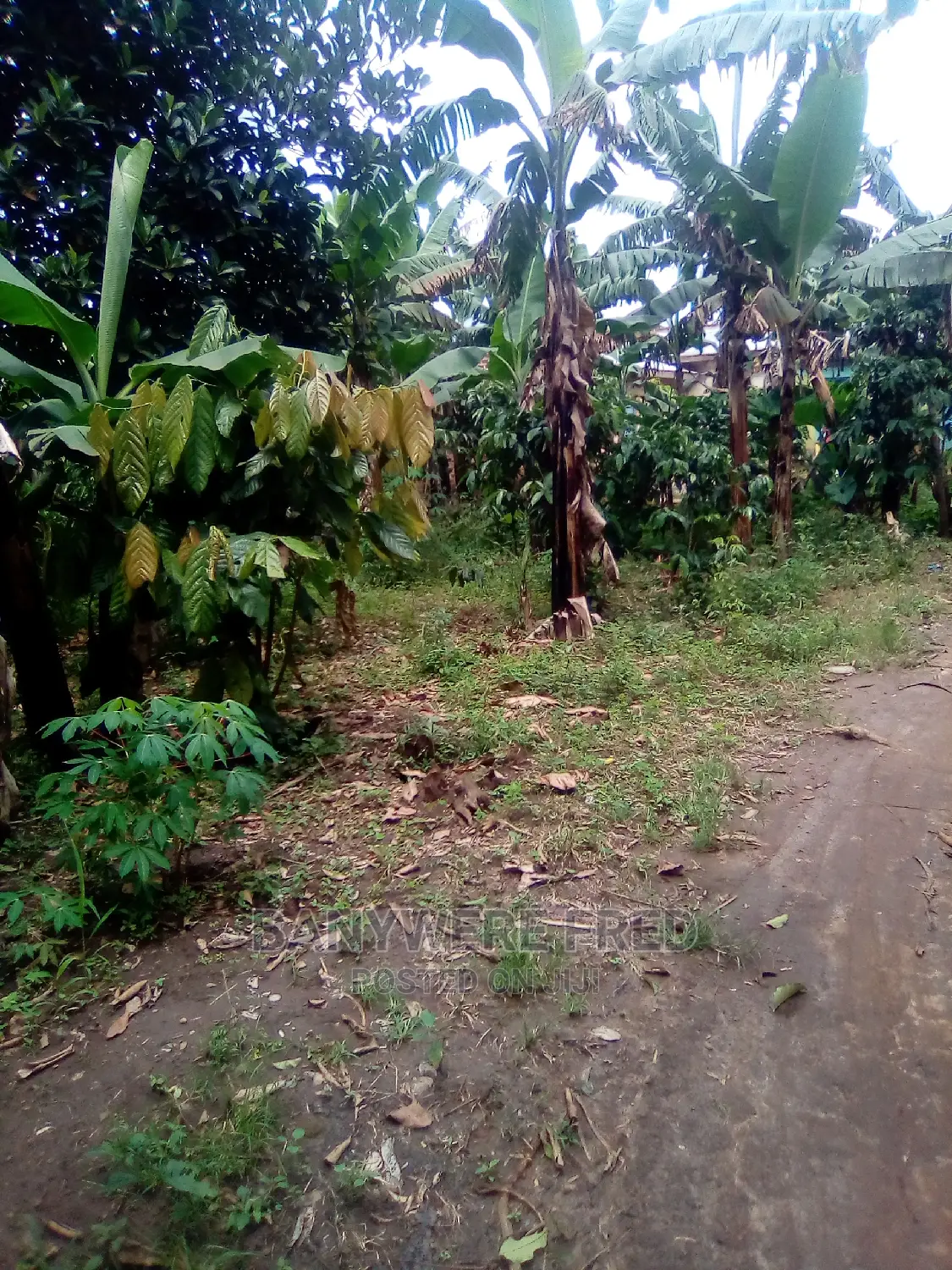 Plots for Sale in Semuto Road, Sanga