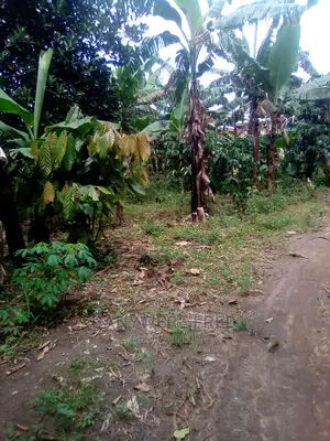 Plots for Sale in Semuto Road, Sanga