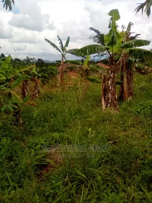 Plots for Sale in Kavule Semuto Road (0.5acre)