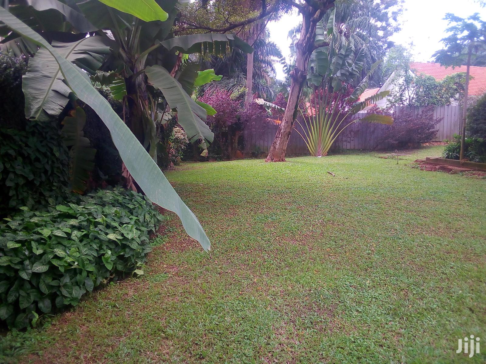 Three Bedroom House In Kololo For Rent