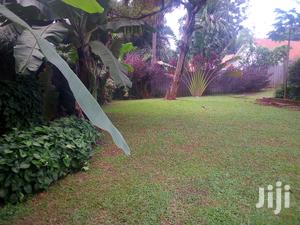 Three Bedroom House In Kololo For Rent