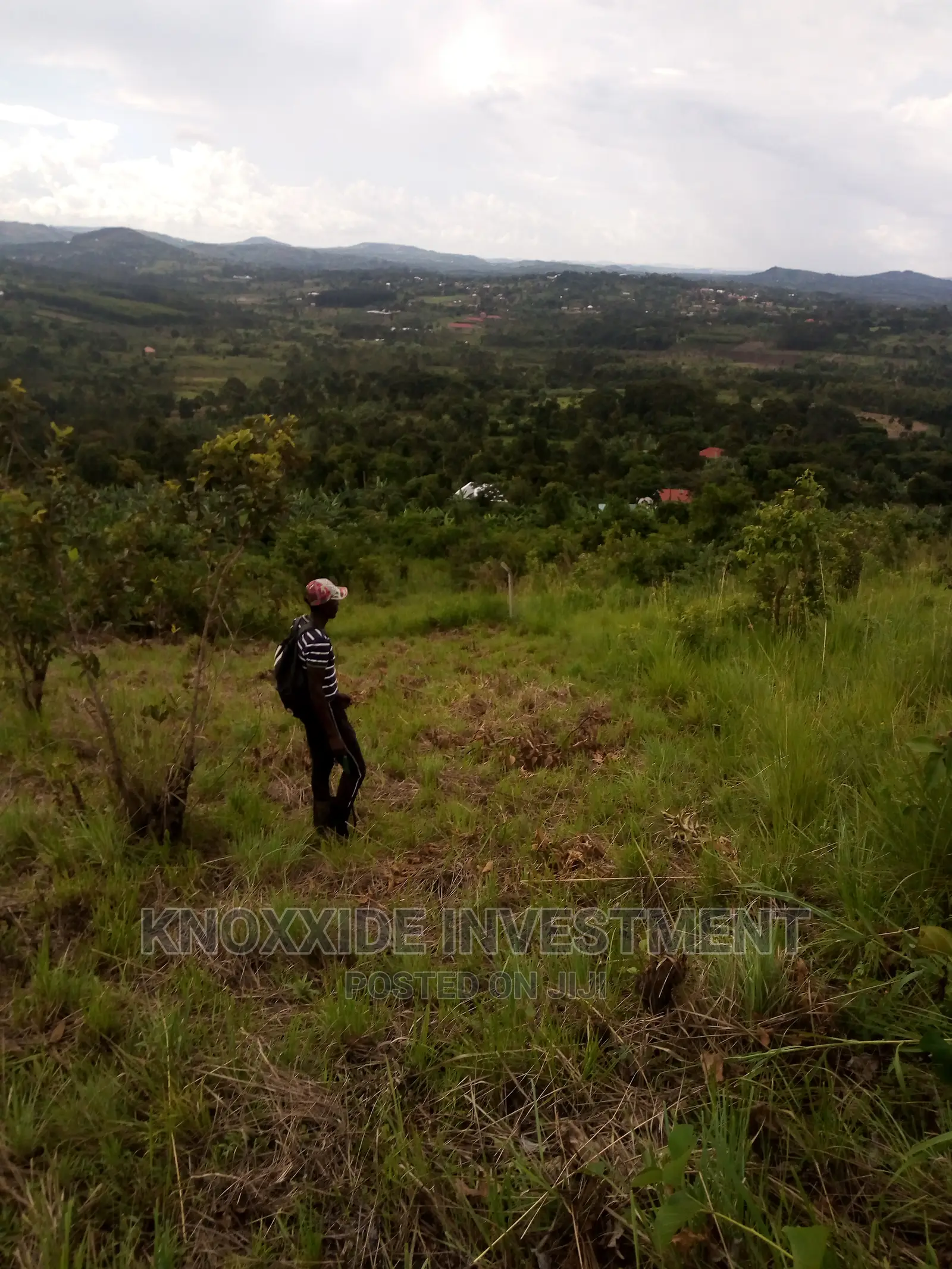 2 Acres Land On Sale In Bulamu Gibi Town Mityana Road