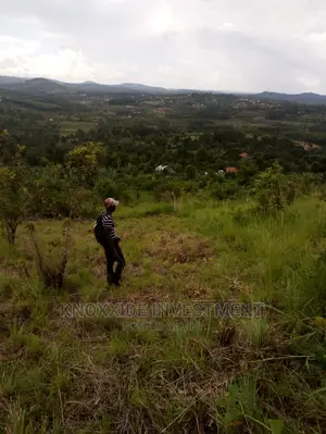 2 Acres Land On Sale In Bulamu Gibi Town Mityana Road
