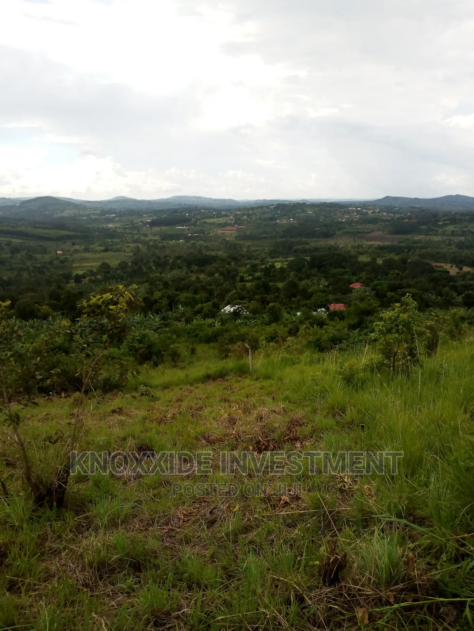 2 Acres Land On Sale In Bulamu Gibi Town Mityana Road