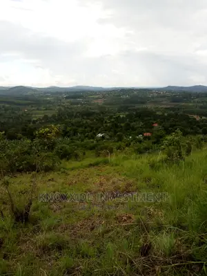 2 Acres Land On Sale In Bulamu Gibi Town Mityana Road
