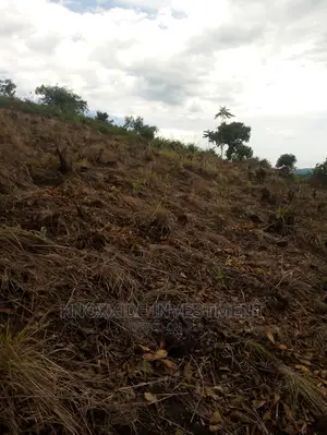 Land for Sale 2acres Kakiri Ready Private Land Title
