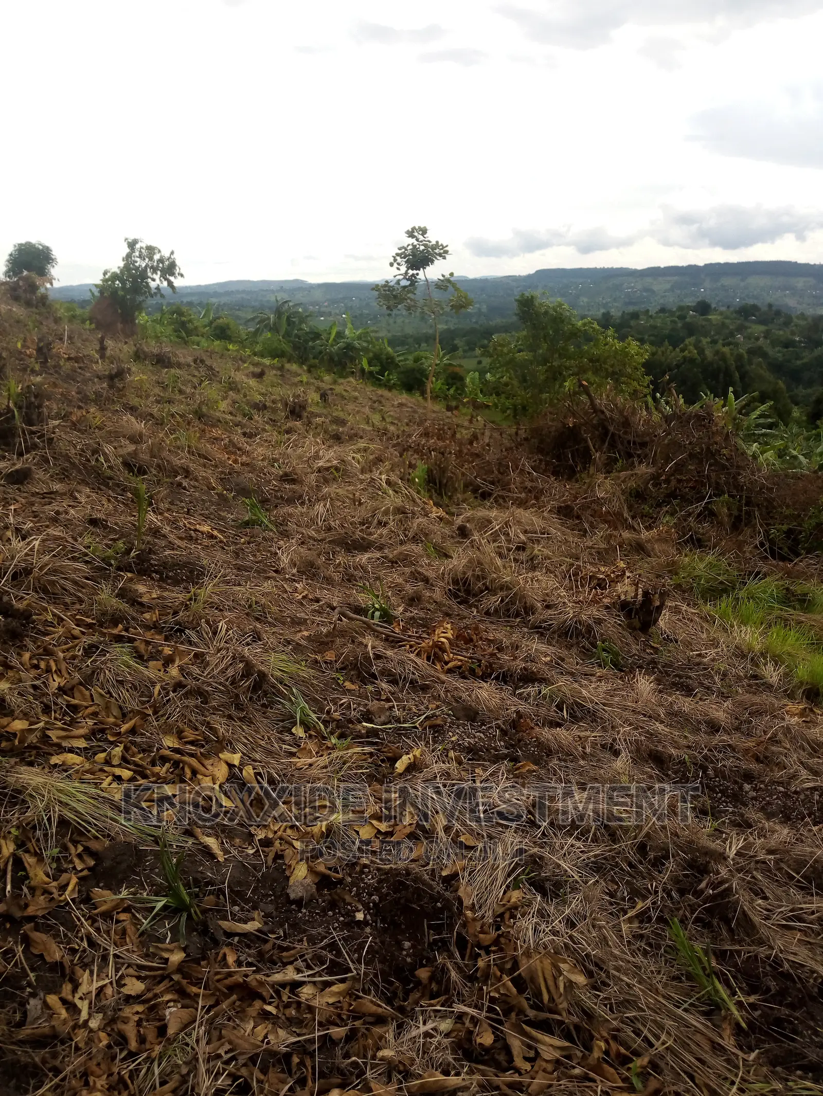 Land for Sale 2acres Kakiri Ready Private Land Title