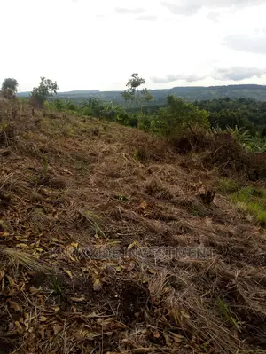 Land for Sale 2acres Kakiri Ready Private Land Title