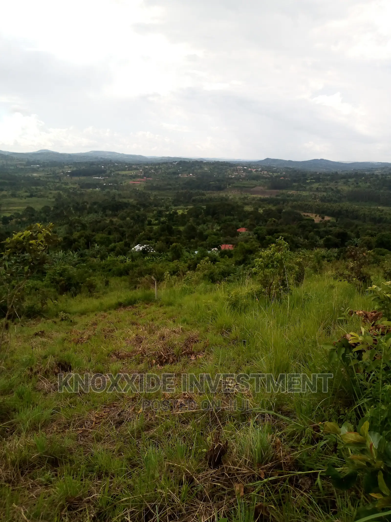 Land for Sale 2acres Kakiri Ready Private Land Title