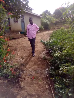 Plot for Sale in Mbalwa Estate (50/100)