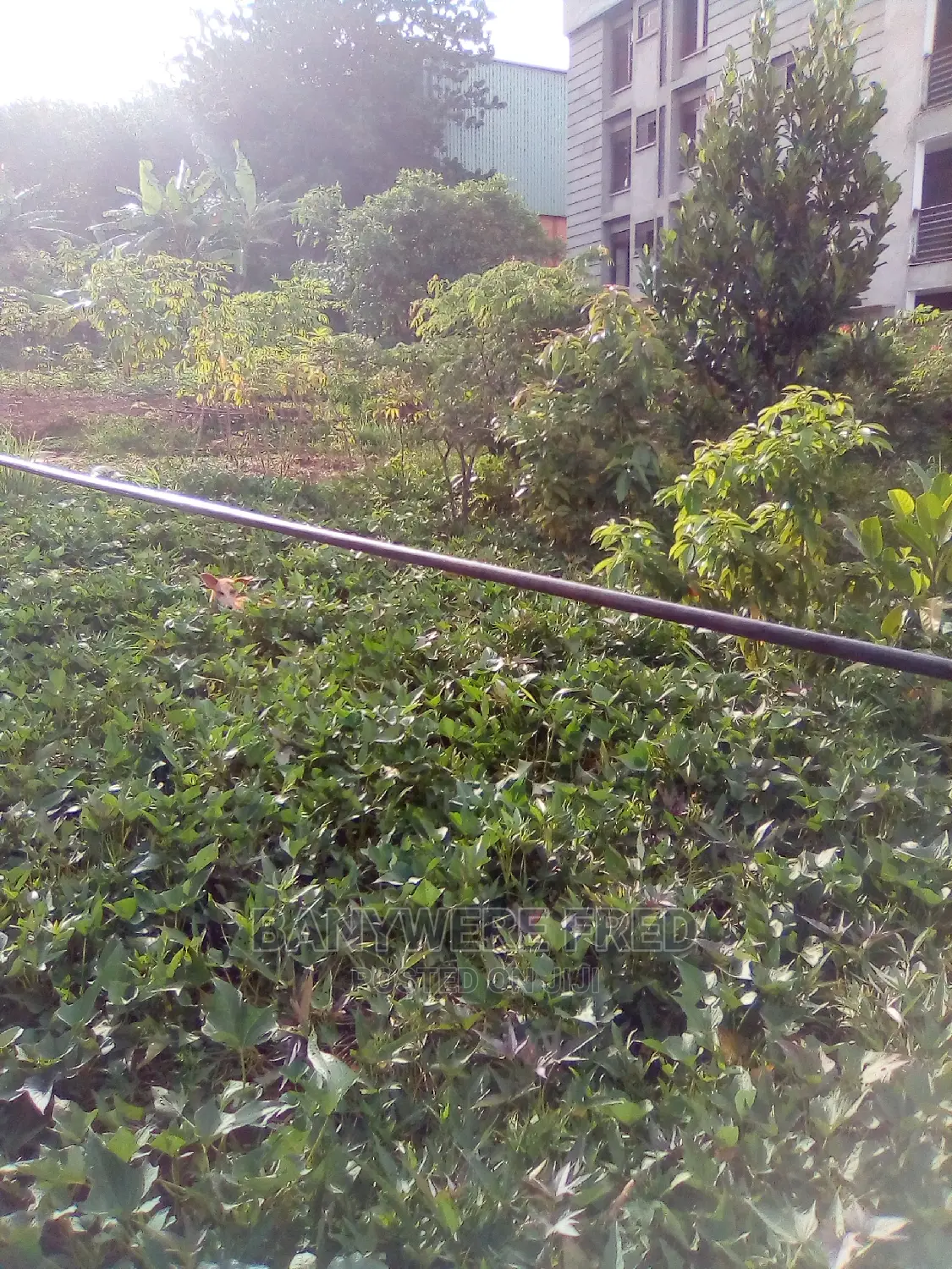 Plot for Sale 50/100 in Bweyogerere, Kakajo