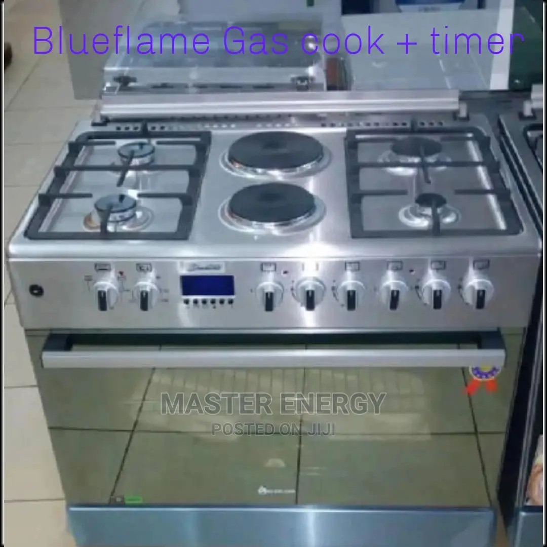 Blue Flame Gas Cooker With Timer