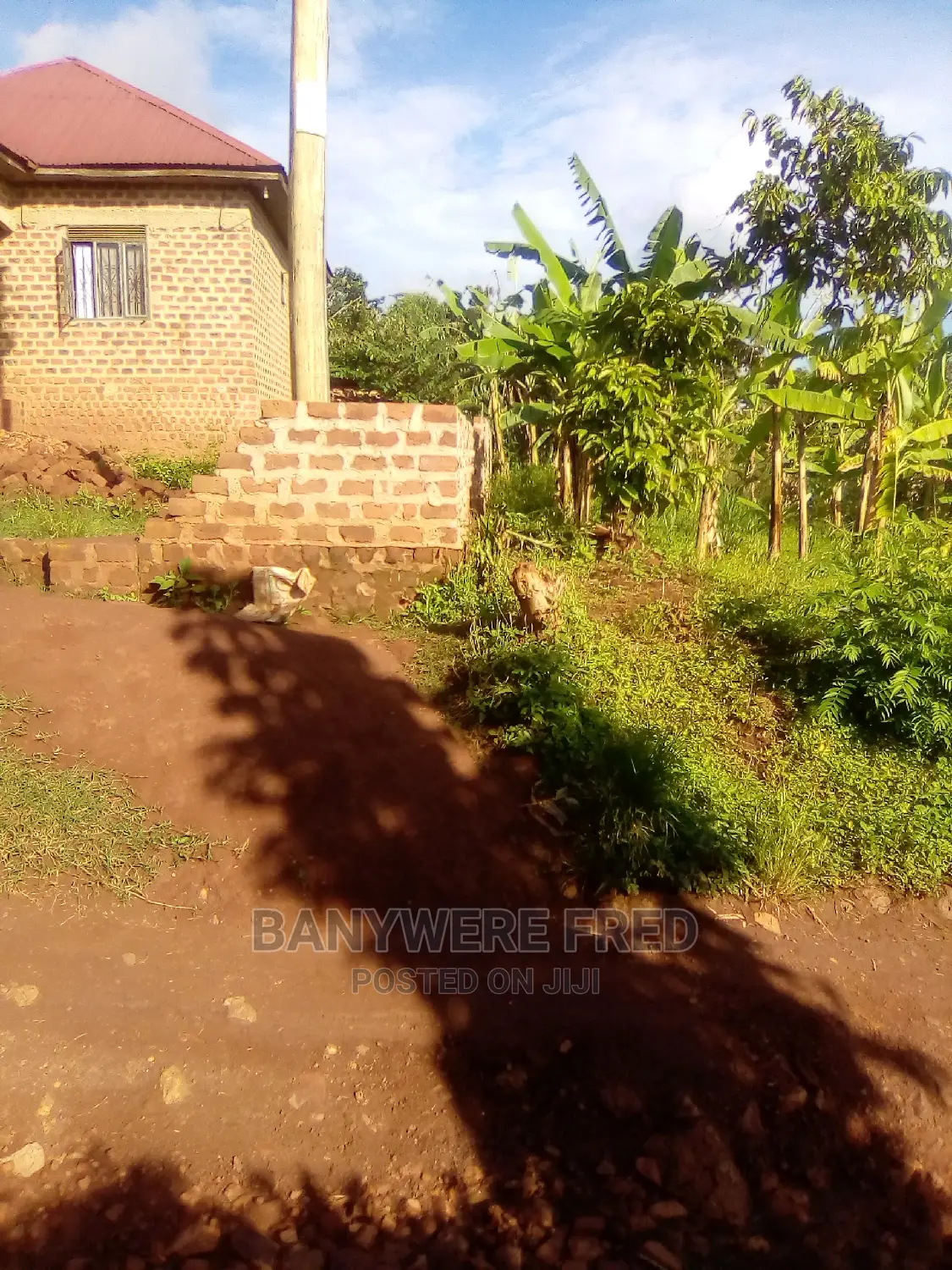 100x50ft Plot for Sell