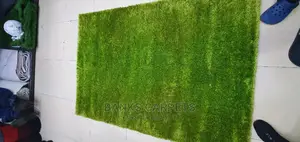 Shaggy Carpets