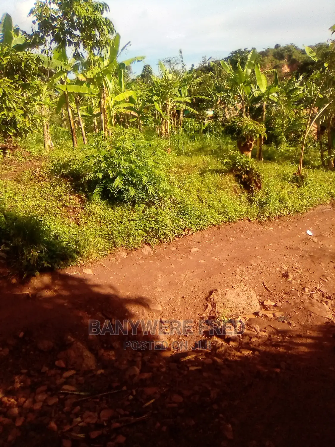 100x100plus Land on Sale Atnamugongo Sonde