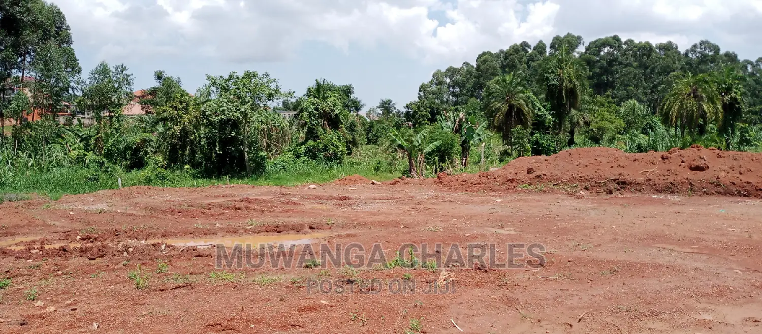Plots Is Sals in Kungu