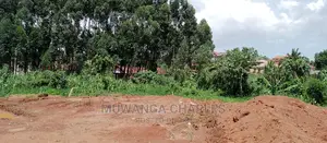 Plots Is Sals in Kungu