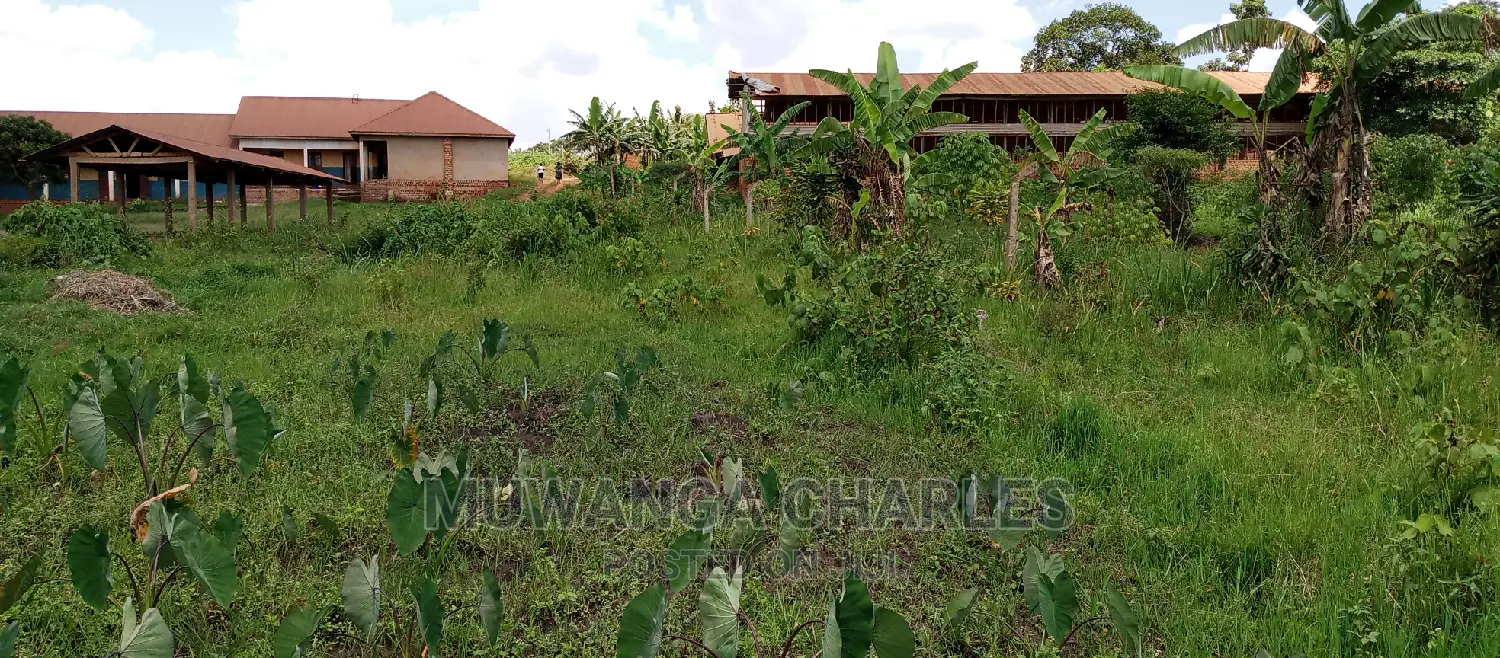 Plot With Structure Is Available for Sale in Kira